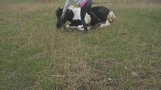 ну бывает))0) смотреть онлайн