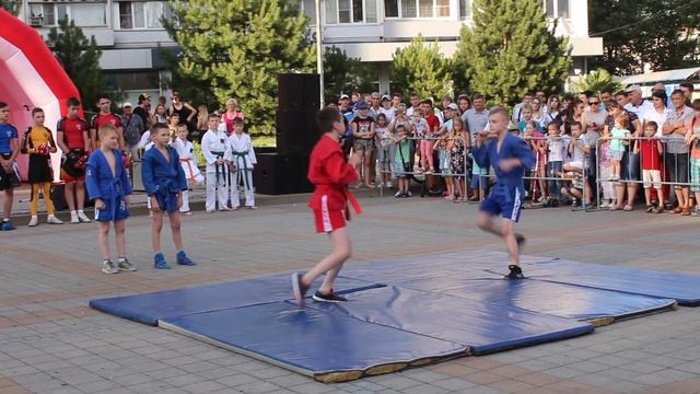 Каратэ и самбо смотреть онлайн