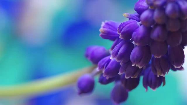 Музыка Для Медитации , Deep Meditation Music , Nature Sounds смотреть онлайн