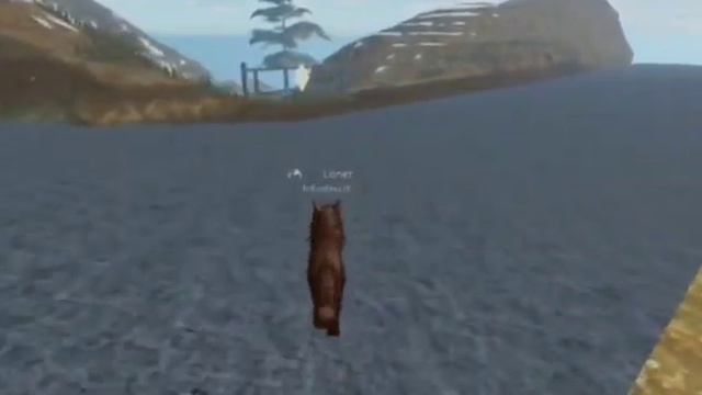 где найти лунный камень?коты-воители роблокс #кв#белолапая смотреть онлайн