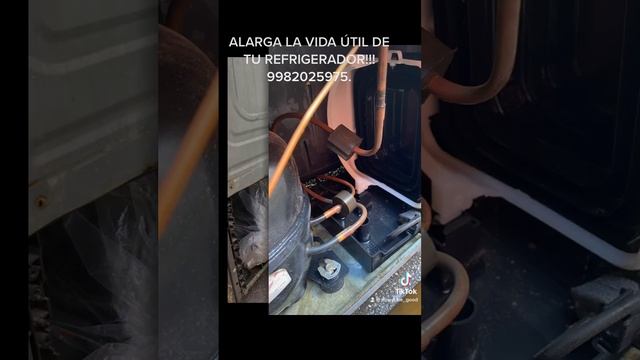 Rehabilitación y mantenimiento preventivo a refrigerador Daewoo смотреть онлайн