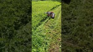 Газонокосилка бензиновая самоходная на радиоуправлении