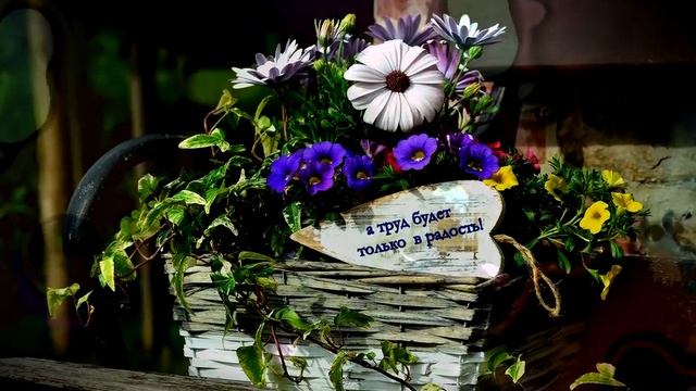 Видео открытка поздравление с 1 мая смотреть онлайн