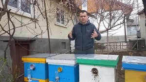 Вода для пчел - это важно! Как напоить пчел правильно. Обзор поилок.