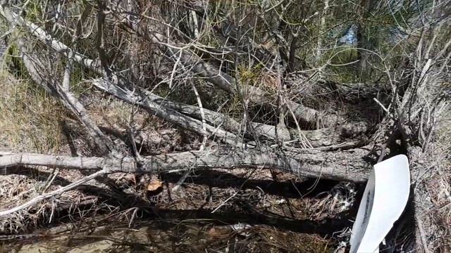 B ROLL from the 20230304 LAKE MACQUARIE Kayak Trip смотреть онлайн