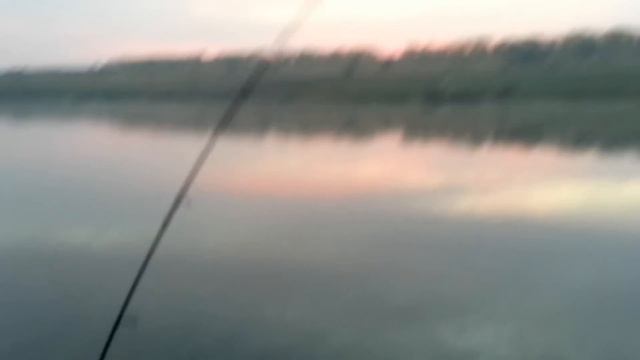 Карп на силикон(часть1) смотреть онлайн