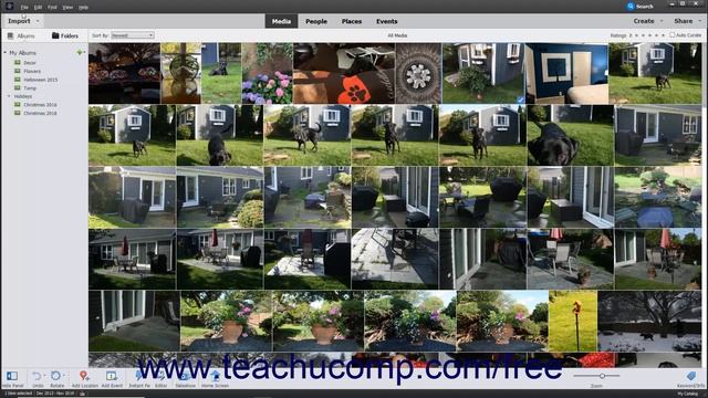 Learn How to Rename Images in the Organizer in Adobe Photoshop Elements 2023: A Training Tutorial смотреть онлайн