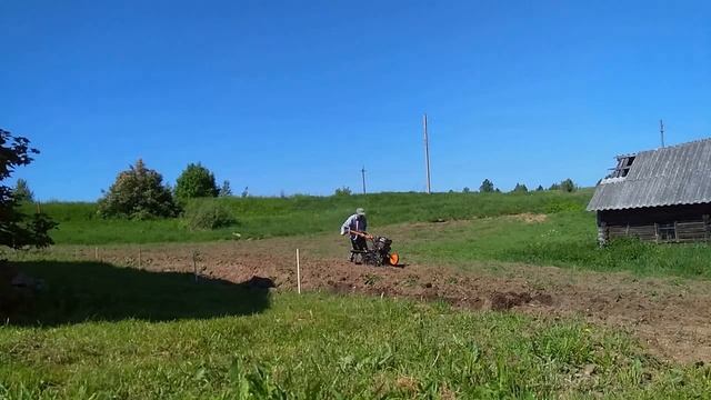 Картофель на целине. смотреть онлайн