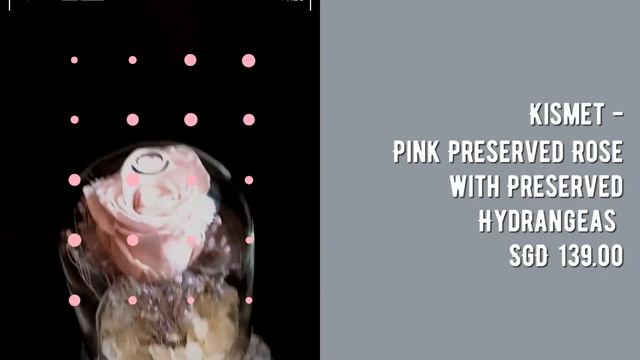 Kismet - Pink Preserved Rose with Preserved Hydrangeas смотреть онлайн