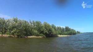 Обзор спиннинга Graphiteleader Tiro Prototype GOTPS-842ML-T