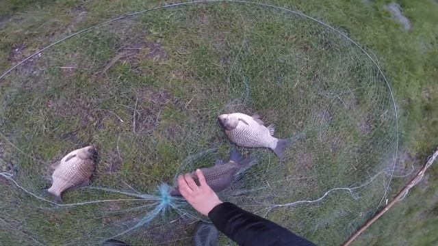 РЫБАЛКА НА КРУГЛЫЙ ПОДЪЕМНИК. Ловля РАЗНОЙ рыбы на рыболовный подъемник паук. смотреть онлайн