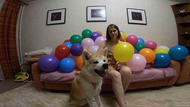 Как надуть 100 шариков дома??? И что из этого получится?? смотреть онлайн