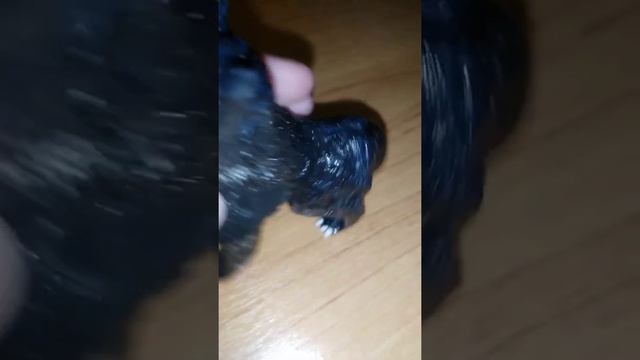 черный волк из пластилина смотреть онлайн