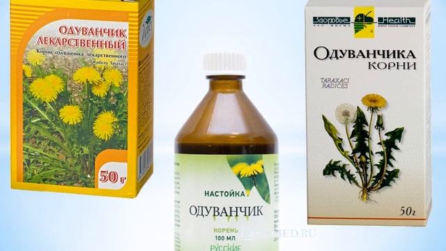 "ОДУВАНЧИК" АППЛИКАЦИЯ ИЗ ВАТНЫХ ПАЛОЧЕК смотреть онлайн