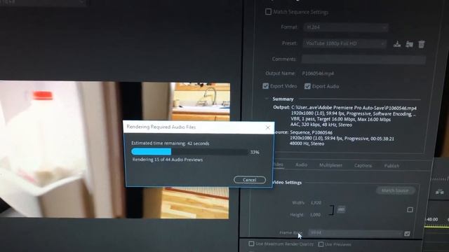 Problem with premiere pro crashing while rendering audio files смотреть онлайн