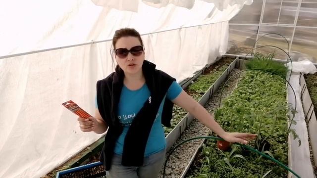 Посеяла морковь 17 апреля. Подготовка теплицы к переезду рассады. смотреть онлайн