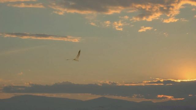 Я за тебя у Бога попрошу /два стихотворения/ смотреть онлайн