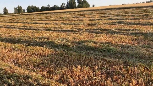 Корма в засуху смотреть онлайн
