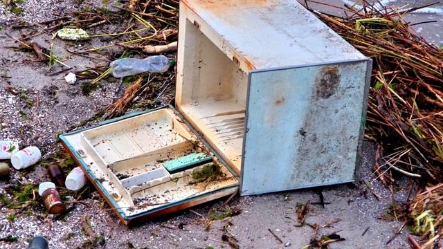 В пробах воды из Черного моря нашли сальмонеллу и кишечную инфекцию смотреть онлайн