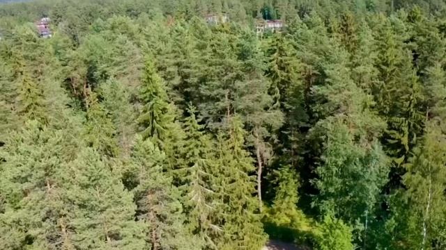 Продажа земельного участка смотреть онлайн