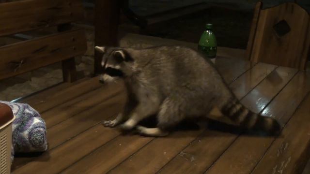 ЕНОТ ВОРИШКА ОТЕЛЬ ВЕРШИНА ГУАМКА смотреть онлайн