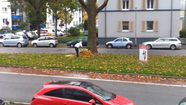 Entsorgung von Gartenabfällen nach Mannheimer Art смотреть онлайн