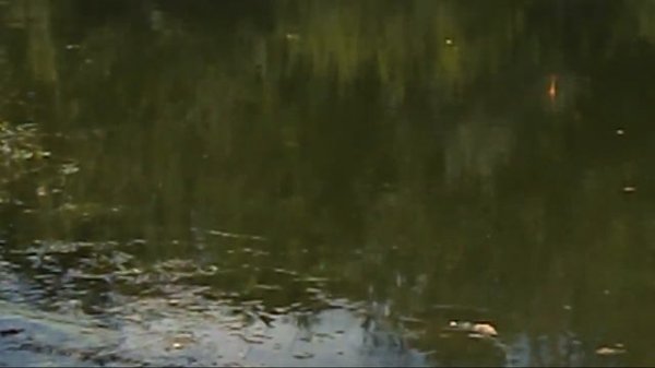 Рыбалка в Херсонской области