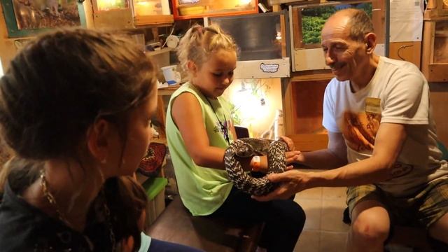 Укус Кобры / Зоодом "Кобры-мобры" в Этномире смотреть онлайн