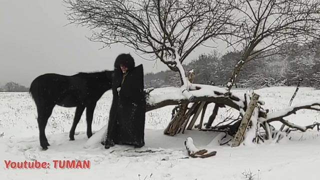 Лахиб Прогулка и работаем над страхами жеребенок Туман Зима Лес.