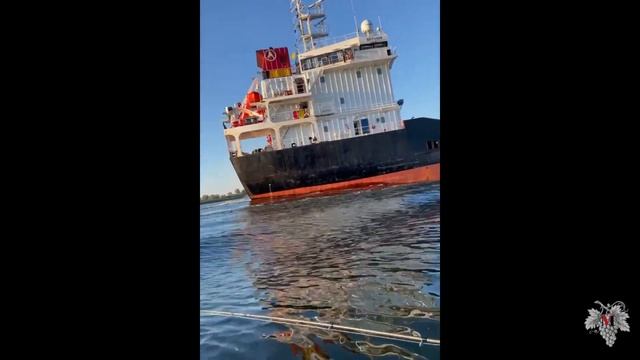 В поисках Хищной Рыбы! Рыбалка и Отдых в хорошей компании смотреть онлайн