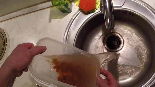 Как разделывать и есть морского ежа смотреть онлайн