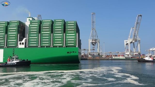 BIGGEST CONTAINER SHIP EVER ACE Maiden call at ROTTERDAM Port - Shipspotting September 2021 смотреть онлайн