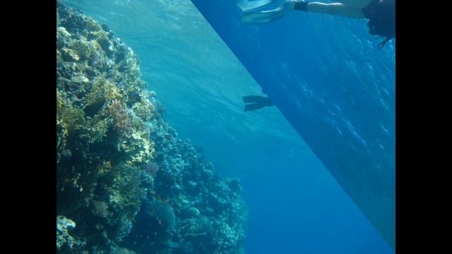 Zohar Bashan Intro Diving