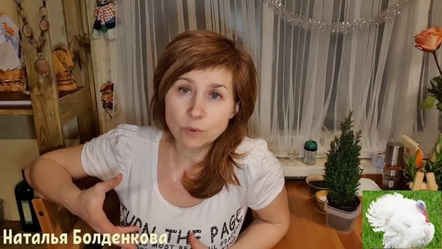 Как я содержу своих индюков//Скоро начнется//Кого выбрать? смотреть онлайн