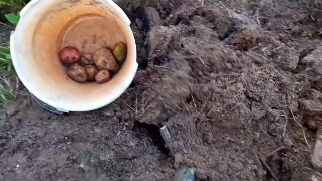 Как сохранить цемент до весны смотреть онлайн