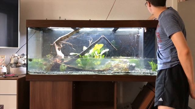 Juwel Rio 450 einrichten смотреть онлайн