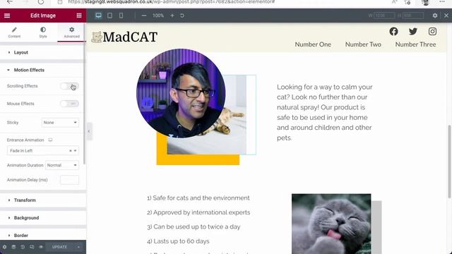 Adding Motion Effects and Scrolling Effects - Elementor Wordpress Tutorial смотреть онлайн