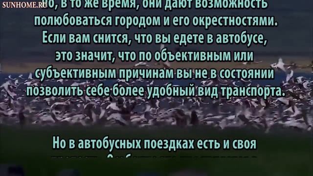 К чему снится Автобус сонник, толкование сна смотреть онлайн