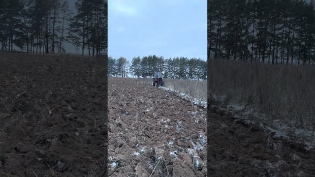 Юмз 6 с двигателем смд