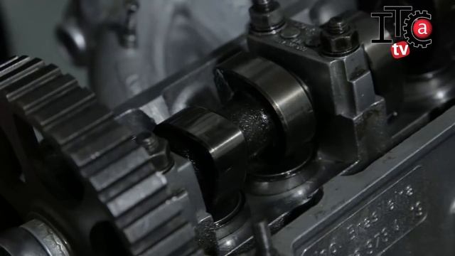 Puesta a punto de distribución sin marcas смотреть онлайн