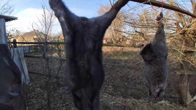 Разделка кролика в домашних условиях. смотреть онлайн