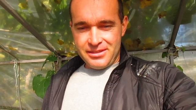 О себе. ПОЧЕМУ НЕТ ДОМА И МАШИНЫ. смотреть онлайн