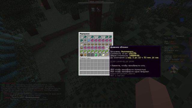 ЭТО САМАЯ ЛУЧШАЯ АНАРХИЯ - MST NETWORK 1.16.5 смотреть онлайн