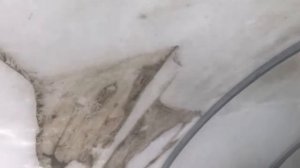 Отзыв о теплицы от завода Статус