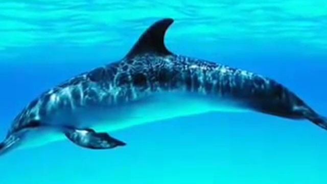 как выйти замуж за богатого в Интернете смотреть онлайн