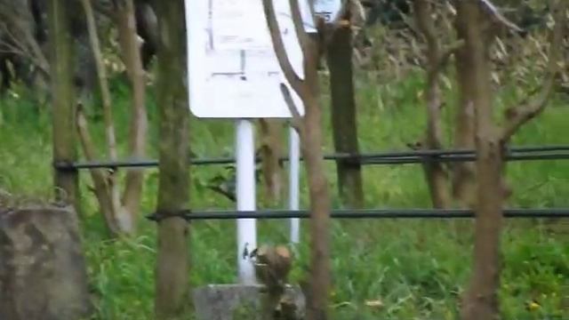 FinePix SL300 смотреть онлайн