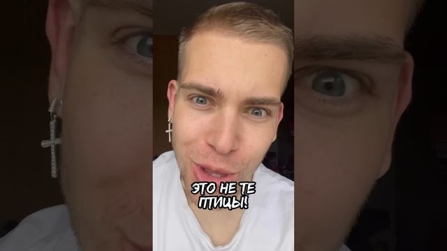 ХИЩНЫЕ ПТИЦЫ ?❌ Это тебе не синичка.. смотреть онлайн