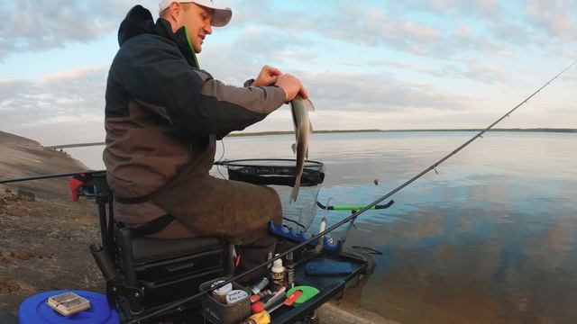 Ночная рыбалка с фидером на Вилейском водохранилище. За лещом с кашей смотреть онлайн