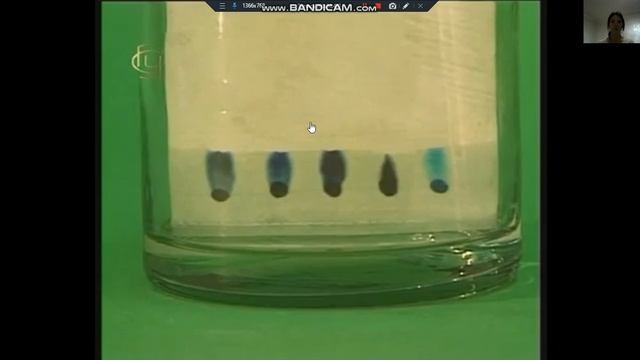 УКВХ. Таубаева Э.Ж. Аналитические методы в современных исследованиях. Хроматография. смотреть онлайн