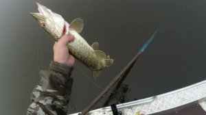 Обзор воблера Kosadaka Kanata XS 160SP. Воблер для трофейной щуки - 2.